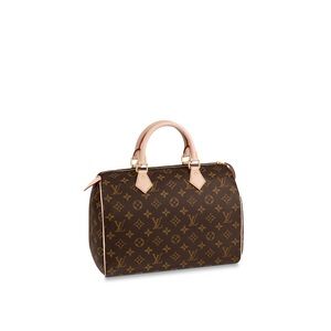 Louis Vuitton Speedy 30 Monogram EUC